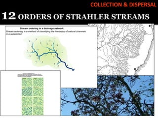 COLLECTION & DISPERSAL
 