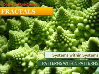 COMPLEX BRANCHING




                    Systems within Systems
 