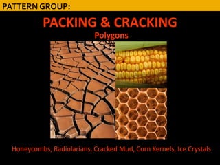 PATTERN GROUP:

           PACKING & CRACKING
                           Polygons




 Honeycombs, Radiolarians, Cracked Mud, Corn Kernels, Ice Crystals
 