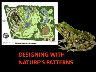 DESIGNING WITH
NATURE’S PATTERNS
 