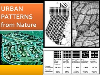 Pattern Understanding: Recognition & Application