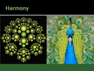 Pattern Understanding: Recognition & Application