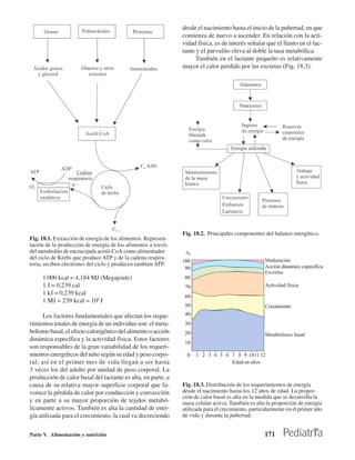 desde el nacimiento hasta el inicio de la pubertad, en que
                                                               comienza de nuevo a ascender. En relación con la acti-
                                                               vidad física, es de interés señalar que el llanto en el lac-
                                                               tante y el parvulito eleva al doble la tasa metabólica.
                                                                     También en el lactante pequeño es relativamente
                                                               mayor el calor perdido por las excretas (Fig. 18.3).




                                                               Fig. 18.2. Principales componentes del balance energético.
Fig. 18.1. Extracción de energía de los alimentos. Represen-
tación de la producción de energía de los alimentos a través
del metabolito de encrucijada acetil-CoA como alimentador
del ciclo de Krebs que produce ATP y de la cadena respira-
toria, reciben electrones del ciclo y producen también ATP.

     1 000 kcal = 4,184 MJ (Megajoule)
     1 J = 0,239 cal
     1 kJ = 0,239 kcal
     1 MJ = 239 kcal = 106 J

      Los factores fundamentales que afectan los reque-
rimientos totales de energía de un individuo son: el meta-
bolismo basal, el efecto calorigénico del alimento o acción
dinámica específica y la actividad física. Estos factores
son responsables de la gran variabilidad de los requeri-
mientos energéticos del niño según su edad y peso corpo-
ral; así en el primer mes de vida llegan a ser hasta
3 veces los del adulto por unidad de peso corporal. La
producción de calor basal del lactante es alta, en parte, a
causa de su relativa mayor superficie corporal que fa-         Fig. 18.3. Distribución de los requerimientos de energía
vorece la pérdida de calor por conducción y convección         desde el nacimiento hasta los 12 años de edad. La propor-
                                                               ción de calor basal es alta en la medida que se desarrolla la
y en parte a su mayor proporción de tejidos metabó-            masa celular activa. También es alta la proporción de energía
licamente activos. También es alta la cantidad de ener-        utilizada para el crecimiento, particularmente en el primer año
gía utilizada para el crecimiento, la cual va decreciendo      de vida y durante la pubertad.


Parte V. Alimentación y nutrición                                                                   171
 