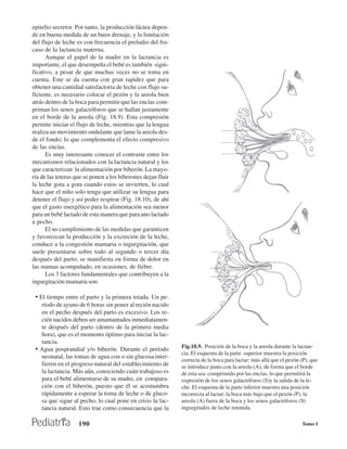 epitelio secretor. Por tanto, la producción láctea depen-
de en buena medida de un buen drenaje, y la limitación
del flujo de leche es con frecuencia el preludio del fra-
caso de la lactancia materna.
      Aunque el papel de la madre en la lactancia es
importante, el que desempeña el bebé es también signi-
ficativo, a pesar de que muchas veces no se toma en
cuenta. Este se da cuenta con gran rapidez que para
obtener una cantidad satisfactoria de leche con flujo su-
ficiente, es necesario colocar el pezón y la areola bien
atrás dentro de la boca para permitir que las encías com-
priman los senos galactóforos que se hallan justamente
en el borde de la areola (Fig. 18.9). Esta compresión
permite iniciar el flujo de leche, mientras que la lengua
realiza un movimiento ondulante que lame la areola des-
de el fondo; lo que complementa el efecto compresivo
de las encías.
      Es muy interesante conocer el contraste entre los
mecanismos relacionados con la lactancia natural y los
que caracterizan la alimentación por biberón. La mayo-
ría de las teteras que se ponen a los biberones dejan fluir
la leche gota a gota cuando estos se invierten, lo cual
hace que el niño solo tenga que utilizar su lengua para
detener el flujo y así poder respirar (Fig. 18.10), de ahí
que el gasto energético para la alimentación sea menor
para un bebé lactado de esta manera que para uno lactado
a pecho.
      El no cumplimiento de las medidas que garanticen
y favorezcan la producción y la excreción de la leche,
conduce a la congestión mamaria o ingurgitación, que
suele presentarse sobre todo al segundo o tercer día
después del parto; se manifiesta en forma de dolor en
las mamas acompañado, en ocasiones, de fiebre.
      Los 3 factores fundamentales que contribuyen a la
ingurgitación mamaria son:

 • El tiempo entre el parto y la primera tetada. Un pe-
   ríodo de ayuno de 6 horas sin poner al recién nacido
   en el pecho después del parto es excesivo. Los re-
   cién nacidos deben ser amamantados inmediatamen-
   te después del parto (dentro de la primera media
   hora), que es el momento óptimo para iniciar la lac-
   tancia.
                                                              Fig.18.9. Posición de la boca y la areola durante la lactan-
 • Agua posprandial y/o biberón. Durante el período
                                                              cia. El esquema de la parte superior muestra la posición
   neonatal, las tomas de agua con o sin glucosa inter-
                                                              correcta de la boca para lactar: más allá que el pezón (P), que
   fieren en el progreso natural del establecimiento de       se introduce junto con la areola (A), de forma que el borde
   la lactancia. Más aún, conociendo cuán trabajoso es        de esta sea comprimido por las encías, lo que permitirá la
   para el bebé alimentarse de su madre, en compara-          expresión de los senos galactóforos (S)y la salida de la le-
   ción con el biberón, puesto que él se acostumbra           che. El esquema de la parte inferior muestra una posición
   rápidamente a esperar la toma de leche o de gluco-         incorrecta al lactar; la boca más bajo que el pezón (P), la
   sa que sigue al pecho, lo cual pone en crisis la lac-      areola (A) fuera de la boca y los senos galactóforos (S)
   tancia natural. Esto trae como consecuencia que la         ingurgitados de leche retenida.

                    190                                                                                              Tomo I
 