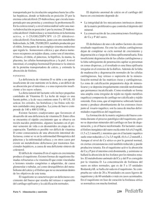 transportada por la circulación sanguínea hasta las célu-         El depósito anormal de calcio en el cartílago del
las hepáticas, donde se hidroxila en posición 25 por la       hueso en crecimiento depende de:
enzima colecalciferol-25-hidroxilasa, que circula trans-
portada por una proteína y constituye la prohormona D.        • La integridad de los mecanismos intrínsecos dentro
En la corteza renal y a nivel mitocondrial sufre una nue-       de la matriz proliferativa que controla el depósito del
va hidroxilación en posición 1 por la enzima 25-hidroxi-        mineral.
colecalciferol l-hidroxilasa y se transforma en la hormona    • La conservación de las concentraciones fisiológicas
activa, o 1-25(OH)2DPV3PV (1-25 dihidroxi-                      de Ca y P del suero.
colecalciferol). Esta hormona, junto con otro metabolito
hidroxilado, la 24R, 25(OH)2D3, también producido por               El desbalance de uno o de ambos factores da como
el riñón, forma parte de un complejo sistema endocrino        resultado raquitismo. En este las células cartilaginosas
que regula la . homeostasis cálcica y que abarca nume-        dejan de completar su ciclo normal de crecimiento y
rosos receptores en tejidos diana, como son el intestino,     degeneración a o largo de la línea epifisometafisaria. Esta
el hueso, el riñón, el páncreas, la hipófisis, la mama, la    insuficiente degeneración de las células cartilaginosas y
placenta, las células hematopoyéticas y la piel. A nivel
                                                              la falta subsiguiente de penetración capilar se presentan
intestinal, el complejo hormonal D promueve la síntesis
                                                              en zonas dispersas, y el resultado es una línea epifisaria
de la proteína transportadora de calcio, y estimula la
                                                              irregular en el extremo de la diáfisis. Además de la falta
absorción de fósforo.
                                                              de maduración y degeneración normales de las células
PATOGENIA                                                     cartilaginosas, hay retraso o supresión de la minera-
      La deficiencia de vitamina D se debe a un aporte        lización normal de las matrices óseas y cartilaginosas.
insuficiente de este nutriente en la dieta, a un déficit de   La zona de calcificación preparatoria deja de minera-
su absorción por el intestino, o a una exposición insufi-     lizarse y se deposita irregularmente osteoide neoformado
ciente a los rayos solares.                                   que permanece incalcificado. Como resultado se forma
      La dieta natural del lactante solo incluye pequeñas     una amplia zona irregular de tejido no rígido metáfisis
cantidades de Vitamina D. La leche de mujer es una            raquítica) compuesta de cartílago no calcificado y tejido
fuente pobre, y la de vaca contiene entre 5 y 40 U/L. El
                                                              osteoide. Esta zona, que al imprimirse sobresale lateral-
azúcar, los cereales, las hortalizas y las frutas solo tie-
                                                              mente y produce abombamiento de los extremos óseos
nen cantidades muy pequeñas. La yema de huevo com-
prende de 140 a 400 U/100 g.                                  junto al rosario raquítico, son la causa de muchas defor-
      Existen factores coadyuvantes que favorecen el          midades esqueléticas del raquitismo.
desarrollo de una deficiencia de vitamina D. Entre ellos            La formación de la matriz orgánica del hueso con-
se encuentra el rápido crecimiento que se observa en          tinúa durante el proceso patológico del raquitismo, pero
recién nacidos pretérmino, algunos lactantes en el pri-       no se depositan minerales del cartílago en fase de dege-
mer semestre de vida o en desnutridos en etapa de re-         neración, y en el hueso neoformado. En lactantes sanos
cuperación. También es posible ver déficit de vitamina        el fósforo inorgánico del suero oscila entre 4,6 a 6,5 mg/dL
D como consecuencia de una absorción intestinal de-           (1,5 a 2,1 mmol/L); mientras que en el lactante raquítico
fectuosa, como se ve en la enfermedad fibroquística del       suele estar reducido a 1,3 a 3,5 mg/dL (0,4 a 1,2 mmol/L).
páncreas y la enfermedad celíaca; y en otros casos por        Aunque el nivel de Ca sérico es por lo general normal,
existir un metabolismo defectuoso por trastornos fun-         en ciertas circunstancias está también reducido y puede
cionales hepáticos, a causa de una deficiente síntesis de     producirse tetania. En el raquitismo activo la absorción
colesterol.                                                   de Ca y P por el intestino está disminuida, y asimismo se
      El déficit de vitamina D en el sujeto en crecimiento
                                                              hallará la absorción de los fosfatos por los túmulos rena-
produce el raquitismo. Existen formas de raquitismo lla-
                                                              les. El metabolismo anómalo del Ca y del P es corregido
madas refractarias a la vitamina D que están vinculadas
a lesiones renales congénitas o adquiridas, de causa          por la vitamina D. La concentración de fosfatasa del
glomerular o tubular, así como desequilibrios del meta-       suero en niños normales, que es de 5 a 15 unidades
bolismo del calcio y el fósforo que no se encuentran dentro   Bodansky/dL se halla elevada en el raquitismo. Se com-
de los objetivos de este tema.                                prueba un valor de 20 a 30 unidades en casos ligeros de
      El raquitismo se caracteriza por un defectuoso cre-     raquitismo y de 60 unidades o más en casos acentuados.
cimiento del hueso que resulta del retraso o supresión        En el raquitismo en fase de curación la fosfatasa sérica
del cartílago epifisario y la calcificación normales.         se normaliza con mucha lentitud.

Parte V. Alimentación y nutrición                                                                239
 