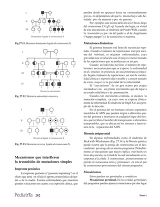 pueden desde no aparecer hasta ser extremadamente
                                                            graves, en dependencia de que la misma haya sido he-
                                                            redada por vía materna o por vía paterna.
                                                                  Por ejemplo, una misma deleción en el brazo largo
                                                            del cromosoma 15 (q11-q13) puede dar lugar, en virtud
                                                            de este mecanismo, al síndrome de Prader Willi, cuando
                                                            la trasmisión es por vía del padre o al de Angelmann
                                                            (“happy puppet”) si la trasmisión es materna.

Fig.27.11. Herencia dominante ligada al cromosoma X.        Mutaciones dinámicas
                                                                  El genoma humano está lleno de secuencias repe-
                                                            tidas. Cuando el número de repeticiones está por enci-
                                                            ma del habitual, se originan enfermedades, cuya
                                                            gravedad esta en relación con el mayor o menor tamaño
                                                            de las repeticiones que se produzcan en un gen.
                                                                  Cuando un individuo no tiene el número de repe-
                                                            ticiones necesarias para que se exprese la enfermedad
                                                            en él, estamos en presencia de una penetrancia reduci-
                                                            da. Según el número de repeticiones, así será la variabi-
                                                            lidad clínica o expresividad variable y a mayor tamaño
                                                            de estas, mayor es la gravedad de la enfermedad.
                                                                  El “crecimiento” de un gen ocurre por etapas
                                                            iniciándose con un primer crecimiento que da lugar a
                                                            un estado subclínico o de premutación.
Fig. 27.12. Herencia autosómica recesiva.                         Cuando este crecimiento continúa, se alcanza la
                                                            mutación completa, en cuyo caso se expresa clínica-
                                                            mente la enfermedad. El síndrome de frágil X es un ejem-
                                                            plo de lo descrito.
                                                                  En el genoma del ser humano existen segmentos
                                                            inestables de ADN que pueden migrar a diferentes par-
                                                            tes del genoma e insertarse en cualquier lugar del mis-
                                                            mo, que reciben el nombre de transposones o elementos
                                                            transponibles, que se ubican en los intrones e intervie-
                                                            nen en la reparación del ADN.

                                                            Disomía uniparental
                                                                  En algunas enfermedades como el síndrome de
                                                            Beckwith-Wiedemann (Fig. 27.14) y la fibrosis quística
Fig. 27.13. Herencia recesiva ligada al cromosoma X.        puede ocurrir que la pareja de cromosomas en el des-
                                                            cendiente provenga de un mismo progenitor. Probable-
                                                            mente, el mecanismo que mejor explica este hecho es
                                                            la no disyunción, en virtud de la cual inicialmente se in-
Mecanismos que interfieren                                  corporan a la célula 3 cromosomas , posteriormente se
la trasmisión de mutaciones simples                         pierde el cromosoma extra y permanece en esta el par
                                                            de cromosomas provenientes del mismo progenitor.
Impronta genómica
     La impronta genómica (“genomic imprinting”) es el      Mosaicismos
efecto que tiene en el hijo el aporte cromosómico del pa-         Estos pueden ser germinales y somáticos.
dre o de la madre. Existen enfermedades que muestran              Mosaicismo germinal. En las celulas germinales
grandes variaciones en cuanto a su expresión clínica, que   del progenitor pueden aparecer mutaciones que dan lugar



                   282                                                                                         Tomo I
 