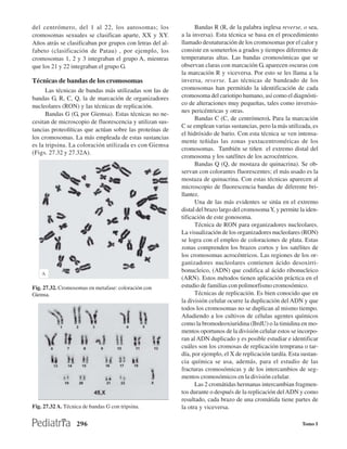 del centrómero, del 1 al 22, los autosomas; los                  Bandas R (R, de la palabra inglesa reverse, o sea,
cromosomas sexuales se clasifican aparte, XX y XY.         a la inversa). Esta técnica se basa en el procedimiento
Años atrás se clasificaban por grupos con letras del al-   llamado desnaturación de los cromosomas por el calor y
fabeto (clasificación de Patau) , por ejemplo, los         consiste en someterlos a grados y tiempos diferentes de
cromosomas 1, 2 y 3 integraban el grupo A, mientras        temperaturas altas. Las bandas cromosómicas que se
que los 21 y 22 integraban el grupo G.                     observan claras con marcación G, aparecen oscuras con
                                                           la marcación R y viceversa. Por esto se les llama a la
Técnicas de bandas de los cromosomas                       inversa, reverse. Las técnicas de bandeado de los
      Las técnicas de bandas más utilizadas son las de     cromosomas han permitido la identificación de cada
bandas G, R, C, Q, la de marcación de organizadores        cromosoma del cariotipo humano, así como el diagnósti-
nucleolares (RON) y las técnicas de replicación.           co de alteraciones muy pequeñas, tales como inversio-
                                                           nes pericéntricas y otras.
      Bandas G (G, por Giemsa). Estas técnicas no ne-
                                                                 Bandas C (C, de centrómero). Para la marcación
cesitan de microscopio de fluorescencia y utilizan sus-
                                                           C se emplean varias sustancias, pero la más utilizada, es
tancias proteolíticas que actúan sobre las proteínas de
                                                           el hidróxido de bario. Con esta técnica se ven intensa-
los cromosomas. La más empleada de estas sustancias
                                                           mente teñidas las zonas yuxtacentroméricas de los
es la tripsina. La coloración utilizada es con Giemsa
                                                           cromosomas. También se tiñen el extremo distal del
(Figs. 27.32 y 27.32A).
                                                           cromosoma y los satélites de los acrocéntricos.
                                                                 Bandas Q (Q, de mostaza de quinacrina). Se ob-
                                                           servan con colorantes fluorescentes; el más usado es la
                                                           mostaza de quinacrina. Con estas técnicas aparecen al
                                                           microscopio de fluorescencia bandas de diferente bri-
                                                           llantez.
                                                                 Una de las más evidentes se sitúa en el extremo
                                                           distal del brazo largo del cromosoma Y, y permite la iden-
                                                           tificación de este gonosoma.
                                                                 Técnica de RON para organizadores nucleolares.
                                                           La visualización de los organizadores nucleolares (RON)
                                                           se logra con el empleo de coloraciones de plata. Estas
                                                           zonas comprenden los brazos cortos y los satélites de
                                                           los cromosomas acrocéntricos. Las regiones de los or-
                                                           ganizadores nucleolares contienen ácido desoxirri-
                                                           bonucleico, (ADN) que codifica al ácido ribonucleico
                                                           (ARN). Estos métodos tienen aplicación práctica en el
Fig. 27.32. Cromosomas en metafase: coloración con         estudio de familias con polimorfismo cromosómico.
Giemsa.                                                          Técnicas de replicación. Es bien conocido que en
                                                           la división celular ocurre la duplicación del ADN y que
                                                           todos los cromosomas no se duplican al mismo tiempo.
                                                           Añadiendo a los cultivos de células agentes químicos
                                                           como la bromodeoxiuridina (BrdU) o la timidina en mo-
                                                           mentos oportunos de la división celular estos se incorpo-
                                                           ran al ADN duplicado y es posible estudiar e identificar
                                                           cuáles son los cromosas de replicación temprana o tar-
                                                           día, por ejemplo, el X de replicación tardía. Esta sustan-
                                                           cia química se usa, además, para el estudio de las
                                                           fracturas cromosómicas y de los intercambios de seg-
                                                           mentos cromosómicos en la división celular.
                                                                 Las 2 cromátidas hermanas intercambian fragmen-
                                                           tos durante o después de la replicación del ADN y como
                                                           resultado, cada brazo de una cromátida tiene partes de
Fig. 27.32 A. Técnica de bandas G con tripsina.            la otra y viceversa.

                   296                                                                                        Tomo I
 