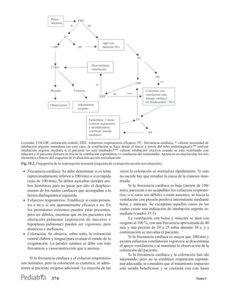 Leyenda: COLOR: coloración central; ERE: esfuerzos respiratorios eficaces; FC: frecuencia cardíaca; * valorar necesidad de
intubación urgente inmediata (en este caso, la ventilación se hace desde el inicio a través del tubo endotraqueal);** realizar
intubación urgente mediata si el paciente no está intubado;*** valorar intubación electiva cuando se está ventilando con
máscara y el paciente demora en iniciar la ventilación espontánea; : conductas del reanimador. Aparecen en mayúsculas los tres
elementos clínicos del esquema de evaluación-acción-reevaluación.
Fig. 35.2. Flujograma de la reanimación neonatal (esquema de evaluación-acción-reevaluación).

 • Frecuencia cardíaca. Se debe determinar si es lenta            veces la coloración se normaliza rápidamente. Si esto
   (aproximadamente inferior a 100/min) o si es rápida            no sucede hay que estudiar la causa de la cianosis man-
   (más de 100/min). Se deben auscultar siempre am-               tenida.
   bos hemitórax para no pasar por alto el desplaza-                    Si la frecuencia cardíaca es baja (menos de 100/
   miento de los ruidos cardíacos que acompañan a la              min), parezcan o no aceptables los esfuerzos respirato-
   hernia diafragmática izquierda.                                rios, o si estos son débiles o están ausentes, se inicia la
 • Esfuerzos respiratorios. Establecer si están presen-           ventilación con presión positiva intermitente mediante
   tes o no y si son aparentemente eficaces o no. En              bolsa y máscara. Se exceptúan aquellos casos en los
   los prematuros extremos pueden estar presentes,                cuales existe una indicación de intubación urgente in-
   pero ser débiles, mientras que en los pacientes con            mediata (cuadro 35.5).
   alteración pulmonar (aspiración de meconio e                         La ventilación con bolsa y máscara se dará con
   hipoplasia pulmonar) pueden ser vigorosos, pero                oxígeno al 100 %, con una frecuencia aproximada de 40
   disneicos e ineficaces.                                        min y una presión de 20 a 25 mbar durante 30 s, y a
 • Coloración. Se observa, sobre todo, la coloración              continuación se reevalúa el paciente.
   central (labios y lengua) para evaluar el estado de la               Si la frecuencia cardíaca es mayor que 100/min y
                                                                  existen esfuerzos ventilatorios vigorosos se descontinúa
   oxigenación. La palidez cutánea se debe con más
                                                                  el apoyo ventilatorio y se mantiene la observación de la
   frecuencia a vasoconstricción que a anemia.                    coloración del paciente.
                                                                        Si la frecuencia cardíaca y la coloración han ido
      Si la frecuencia cardíaca y el esfuerzo respiratorio        mejorando, pero no se establece respiración espontá-
son normales, pero la coloración es cianótica, se admi-           nea adecuada, se considera que el tratamiento impuesto
nistra al paciente oxígeno adicional. La mayoría de las           está siendo beneficioso y se continúa con este hasta

                    374                                                                                              Tomo I
 