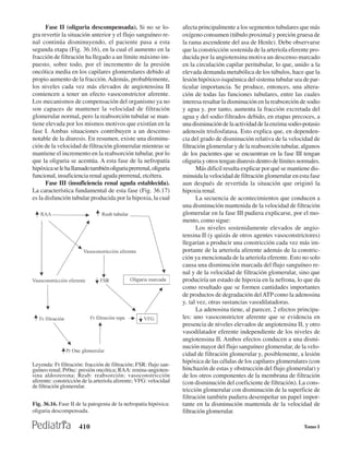 Fase II (oliguria descompensada). Si no se lo-              afecta principalmente a los segmentos tubulares que más
gra revertir la situación anterior y el flujo sanguíneo re-       oxígeno consumen (túbulo proximal y porción gruesa de
nal continúa disminuyendo, el paciente pasa a esta                la rama ascendente del asa de Henle). Debe observarse
segunda etapa (Fig. 36.16), en la cual el aumento en la           que la constricción sostenida de la arteriola eferente pro-
fracción de filtración ha llegado a un límite máximo im-          ducida por la angiotensina motiva un descenso marcado
puesto, sobre todo, por el incremento de la presión               en la circulación capilar peritubular, lo que, unido a la
oncótica media en los capilares glomerulares debido al            elevada demanda metabólica de los túbulos, hace que la
propio aumento de la fracción. Además, probablemente,             lesión hipóxico-isquémica del sistema tubular sea de par-
los niveles cada vez más elevados de angiotensina II              ticular importancia. Se produce, entonces, una altera-
comiencen a tener un efecto vasoconstrictor aferente.             ción de todas las funciones tubulares, entre las cuales
Los mecanismos de compensación del organismo ya no                interesa resaltar la disminución en la reabsorción de sodio
son capaces de mantener la velocidad de filtración                y agua y, por tanto, aumenta la fracción excretada del
glomerular normal, pero la reabsorción tubular se man-            agua y del sodio filtrados debido, en etapas precoces, a
tiene elevada por los mismos motivos que existían en la           una disminución de la actividad de la enzima sodio-potasio
fase I. Ambas situaciones contribuyen a un descenso               adenosín trisfosfatasa. Esto explica que, en dependen-
notable de la diuresis. En resumen, existe una disminu-           cia del grado de disminución relativa de la velocidad de
ción de la velocidad de filtración glomerular mientras se         filtración glomerular y de la reabsorción tubular, algunos
mantiene el incremento en la reabsorción tubular, por lo          de los pacientes que se encuentran en la fase III tengan
que la oliguria se acentúa. A esta fase de la nefropatía          oliguria y otros tengan diuresis dentro de límites normales.
hipóxica se le ha llamado también oliguria prerrenal, oliguria          Más dificil resulta explicar por qué se mantiene dis-
funcional, insuficiencia renal aguda prerrenal, etcétera.         minuida la velocidad de filtración glomerular en esta fase
      Fase III (insuficiencia renal aguda establecida).           aun después de revertida la situación que originó la
La característica fundamental de esta fase (Fig. 36.17)           hipoxia renal.
es la disfunción tubular producida por la hipoxia, la cual              La secuencia de acontecimientos que conducen a
                                                                  una disminución mantenida de la velocidad de filtración
                                                                  glomerular en la fase III pudiera explicarse, por el mo-
                                                                  mento, como sigue:
                                                                        Los niveles sostenidamente elevados de angio-
                                                                  tensina II (y quizás de otros agentes vasoconstrictores)
                                                                  llegarían a producir una constricción cada vez más im-
                                                                  portante de la arteriola aferente además de la constric-
                                                                  ción ya mencionada de la arteriola eferente. Esto no solo
                                                                  causa una disminución marcada del flujo sanguíneo re-
                                                                  nal y de la velocidad de filtración glomerular, sino que
                                                                  produciría un estado de hipoxia en la nefrona, lo que da
                                                                  como resultado que se formen cantidades importantes
                                                                  de productos de degradación del ATP como la adenosina
                                                                  y, tal vez, otras sustancias vasodilatadoras.
                                                                        La adenosina tiene, al parecer, 2 efectos principa-
                                                                  les: uno vasoconstrictor aferente que se evidencia en
                                                                  presencia de niveles elevados de angiotensina II, y otro
                                                                  vasodilatador eferente independiente de los niveles de
                                                                  angiotensina II. Ambos efectos conducen a una dismi-
                                                                  nución mayor del flujo sanguíneo glomerular, de la velo-
                                                                  cidad de filtración glomerular y, posiblemente, a lesión
                                                                  hipóxica de las células de los capilares glomerulares (con
Leyenda: Fr filtración: fracción de filtración; FSR: flujo san-
guíneo renal; Pr0nc: presión oncótica; RAA: renina-angioten-      hinchazón de estas y obstrucción del flujo glomerular) y
sina aldosterona; Reab: reabsorción; vasoconstricción             de los otros componentes de la membrana de filtración
aferente: constricción de la arteriola aferente; VFG: velocidad   (con disminución del coeficiente de filtración). La cons-
de filtración glomerular.
                                                                  tricción glomerular con disminución de la superficie de
                                                                  filtración también pudiera desempeñar un papel impor-
Fig. 36.16. Fase II de la patogenia de la nefropatía hipóxica:    tante en la disminución mantenida de la velocidad de
oliguria descompensada.                                           filtración glomerular.

                     410                                                                                               Tomo I
 