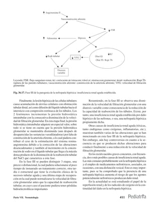 Leyenda: FSR: flujo sanguíneo renal; Kf: coeficiente de filtración; Obst GI: obstrucción glomerular; Reab: reabsorción; Rupt Tb:
ruptura de las paredes tubulares; vasoconstricción aferente: constricción de la arteriola aferente; VFG: velocidad de filtración
glomerular.

Fig. 36.17. Fase III de la patogenia de la nefropatía hipóxica: insuficiencia renal aguda establecida.


      Finalmente, la lesión hipóxica de las células tubulares             Resumiendo, en la fase III se observa una dismi-
causa acumulación de detritus celulares con obstrucción             nución de la velocidad de filtración glomerular con una
tubular distal, así como difusión del líquido tubular hacia el      diuresis variable como consecuencia de la reducción de
intersticio con compresión extrínseca de los túbulos. Los           la capacidad de reabsorción de los túbulos. Existe, por
2 fenómenos incrementan la presión hidrostática                     tanto, una insuficiencia renal aguda establecida por daño
intratubular con la consecutiva disminución de la veloci-           hipóxico de las nefronas, o sea, una nefropatía hipóxica
dad de filtración glomerular. En esta etapa final, la presión       propiamente dicha.
hidrostática intratubular adquiere un especial valor, sobre               Otras causas de insuficiencia renal aguda (tóxicas,
todo si se tiene en cuenta que la presión hidrostática
                                                                    tanto endógenas como exógenas, inflamatorias, ete.),
glomerular se mantendría disminuida (aun después de
                                                                    muestran también varias de las alteraciones que se han
desaparecidas las sustancias vasodilatadoras) por falta de
                                                                    mencionado en esta fase III de la nefropatía hipóxica.
constricción de la arteriola eferente, a lo cual pudiera con-
tribuir el cese de la estimulación del sistema renina-              Sin embargo, aún hay controversias en cuanto a la se-
angiotensina debido a la corrección de las alteraciones             cuencia en que se producen dichas alteraciones para
desencadenantes y también al incremento en la concen-               conducir finalmente a una reducción de la velocidad de
tración de sodio en el líquido tubular que llega a la mácula        filtración glomerular.
densa producto de la disminución de la reabsorción tubular                En los recién nacidos graves concurren, con frecuen-
del NaCl que caracteriza a esta fase.                               cia, dos o más posibles causas de insuficiencia renal aguda.
      En la fase III se pueden distinguir 3 etapas, una             Las más comunes probablemente son la nefropatía hipóxica
precoz o disfuncional, la cual pudiera solucionarse al poco         y el empleo de medicamentos nefrotóxicos, asociados, en
tiempo de instaurado un tratamiento correcto, otra tar-             ocasiones, con una disfunción vesical. Esto es muy impor-
día o estructural que tiene la evolución clásica de la              tante, pues se ha comprobado que la presencia de una
necrosis tubular aguda y una última etapa de recupera-              nefropatía hipóxica aumenta el riesgo de que los agentes
ción en la cual puede normalizarse la velocidad de filtra-          potencialmente nefrotóxicos produzcan daño renal.
ción glomerular antes que la capacidad de reabsorción                     En la actualidad se está estudiando el papel de la
tubular, en cuyo caso el paciente pudiera tener pérdidas            reperfusión renal y de los radicales de oxígeno en la con-
hidroelectrolíticas importantes                                     tinuidad del daño en la nefropatía hipóxica.


Parte VII. Neonatología                                                                                  411
 