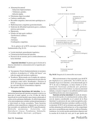 • Alimentación enteral:
        - Soluciones hiperosmolares.
        - Volúmenes grandes.
        - Infusión rápida.
 •    Policitemia, hiperviscosidad.
 •    Catéteres umbilicales.
 •    Recambio sanguíneo, intervenciones quirúrgicas ex-
      tensas.
 •    Malformaciones congénitas gastrointestinales.
 •    Síndrome de dificultad respiratoria grave, conducto
      arterioso persistente.
 •    Hipotermia.
 •    Estados de bajo gasto cardíaco:
     - Insuficiencia cardíaca.
     - Choque.
     - Arritmias.
     - Cardiopatías congénitas.

     En la génesis de la ECN convergen 3 elementos
fundamentales (Fig.36.18).

 • Lesión intestinal, generalmente isquémica.
 • Colonización bacteriana del intestino.
 • Presencia de un sustrato, por lo común alimentos en
     la luz intestinal.

     Isquemia intestinal. Se piensa que la lesión de la
mucosa intestinal es consecuencia de la isquemia pro-
ducida por:

 • Vasospasmo. Ocurre fundamentalmente en neonatos
   asfícticos al producirse el “reflejo del buceo” con
   robo de sangre del territorio esplácnico.                  Fig. 36.18. Patogenia de la enterocoIitis necrosante.
 • Trombosis. Relacionada con el empleo de catéteres
   en vasos umbilicales y la administración por ellos de            Más recientemente se han reportado casos de ECN
   sustancias como calcio, bicarbonato y dextrosa al          por Staphylococcus epidermidis. En la ECN está au-
   50 %. El riesgo es mayor cuando la punta del caté-         mentado el gas en el intestino, se ha demostrado que el
   ter está más allá de la mesentérica superior.              30 % de este es hidrógeno, su única fuente es la fer-
 • Bajo gasto cardíaco.                                       mentación bacteriana producida por gérmenes
                                                              anaeróbicos como el Clostridium. La mucosa intestinal
      Colonización bacteriana del intestino. La co-           dañada y con poco oxígeno es un ambiente perfecto para
lonización bacteriana del intestino neonatal se inicia a su   la proliferación de estos microorganismos.
paso por el canal vaginal, ya a los 10 días de vida la              Sustrato en la luz intestinal. El modo de alimen-
mayoría de los recién nacidos sanos tienen colonizado el      tar a un recién nacido y la constitución de su dieta, influ-
colon con los gérmenes habituales. Es difícil determinar      yen de manera considerable en el control de la flora
si los microorganismos aislados actúan primariamente o        intestinal. La presencia de una sonda nasogástrica alte-
si intervienen en forma secundaria. Tanto bacterias           ra la motilidad del intestino y produce cambios en la flo-
aeróbicas como anaeróbicas y algunas de sus toxinas se        ra intestinal. El 98 % de los neonatos que padecen ECN,
han asociado con epidemias de ECN específicamente:            reciben alimentación artificial previa; se ha comprobado
Klebsiella pneumoniae, Escherichia co/i,                      que esto es un problema aun cuando se utilicen fórmulas
Enterobacter cloacae, Pseudomona, Salmonella,                 isotónicas. Los recién nacidos pretérminos digieren mal
Clostridium difficile, butyricum y perfringens.               la caseína de la leche de vaca, por lo que queda una

Parte VII. Neonatología                                                                          419
 