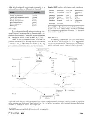 Tabla 36.9. Resultados de las pruebas de coagulación en la           Cuadro 36.13. Nombres de los factores de la coagulación
enfermedad hemorrágica por deficiencia de vitamina K
                                                                        Factor I      Fibrinógeno      Factor VIII       Antihemofílico
  Prueba                                    Resultado                   Factor II     Protrombina      Factor IX         Christmas o
                                                                                                                         PTC
  Tiempo de protrombina                   Alterado                      Factor III    Plaquetario      Factor X          Stuart- Prower
  Tiempo de tromboplastina parcial        Alterado                      Factor IV     Calcio,          Factor XI         PTA
  Tiempo de trombina                      Normal                        Factor V      Proacelerina     Factor XII        Hageman
  Tiempo de sangramiento                  Normal                        Factor VI     Acelerina        Factor XIII       Estabilizador
  Retracción del coágulo                  Normal                                                                         de fibrina
  Conteo de plaquetas                     Normal                        Factor VII    Convertina
  Fibrinógeno                             Normal
                                                                     Leyenda: El factor III también se llama tromboplastina parcial; los
PREVENCIÓN                                                           factores V y VI son los llamados lábiles y el factor VII es el estable;
                                                                     PTC: componente tromboplástinico del plasma; PTA: antecedente
      Se previene mediante la administración de vita-                tromboplastínico del plasma.
mina K, por vía intramuscular en el momento del na-
cimiento. La dosis es de l mg en los neonatos mayores
de 2 500 g y de 0,5 mg en los menores de 2 500 g.                    TRATAMIENTO
      En los recién nacidos que reciben alimentación                       Cuando hay sangramiento activo, se suministra una
parenteral o antibióticos de amplio espectro durante                 dosis de plasma fresco congelado a 10 mL/kg y una do-
2 semanas o más, se debe administrar vitamina K, 0,5 mg              sis de l mg de vitamina K intravenosa. Generalmente,
por vía intramuscular o intravenosa una vez por semana.              esto es suficiente para la normalización del paciente.




Leyenda: f: factor; marcados con (*) los factores de la coagulación dependientes de la vitamina K. Los factores de la coagulación
que se sintetizan en el hígado son el fibrinógeno, el V, el VIII y los factores dependientes de la vitamina K; las líneas discontinuas
delimitan las tres fases del proceso de la coagulación.

Fig. 36.19. Esquema simplificado del mecanismo de la coagulación.

                     438                                                                                                           Tomo I
 