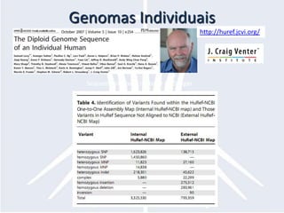 Genomas Individuaishttp://huref.jcvi.org/Sequenciado pelo método de Sanger