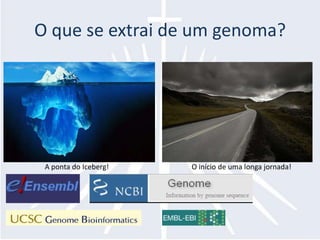 O que se extrai de um genoma?A ponta do Iceberg!O início de uma longa jornada!