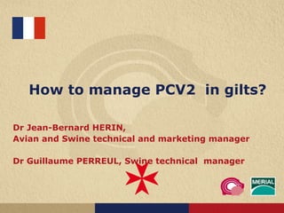 How to manage PCV2  in gilts? Dr Jean-Bernard HERIN,  Avian and Swine technical and marketing manager Dr Guillaume PERREUL, Swine technical  manager 