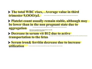 02️ Physiological change_260130_144516.pdf