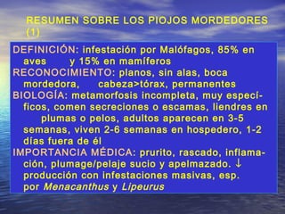 DEFINICIÓN: infestación por Malófagos, 85% en
aves y 15% en mamíferos
RECONOCIMIENTO: planos, sin alas, boca
mordedora, cabeza>tórax, permanentes
BIOLOGÍA: metamorfosis incompleta, muy especí-
ficos, comen secreciones o escamas, liendres en
plumas o pelos, adultos aparecen en 3-5
semanas, viven 2-6 semanas en hospedero, 1-2
días fuera de él
IMPORTANCIA MÉDICA: prurito, rascado, inflama-
ción, plumage/pelaje sucio y apelmazado. ↓
producción con infestaciones masivas, esp.
por Menacanthus y Lipeurus
RESUMEN SOBRE LOS PIOJOS MORDEDORES
(1)
 