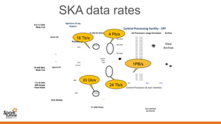 SKA data rates
..
Sparse AA
Dense AA
..
Central Processing Facility - CPF
User interface
via Internet...
To 250 AA Stations
DSP
...
DSP
To 1200 Dishes
...15m Dishes
16 Tb/s
10 Gb/s
Data
Time
Control
70-450 MHz
Wide FoV
0.4-1.4 GHz
Wide FoV
1.2-10 GHz
WB-Single
Pixel feeds
Tile &
Station
Processing
Optical
Data
links
...
AA slice
...
AA slice
...
AA slice
...Dish&AA+DishCorrelation
ProcessorBuffer
ProcessorBuffer
ProcessorBuffer
ProcessorBuffer
ProcessorBuffer
ProcessorBuffer
ProcessorBuffer
ProcessorBuffer
ProcessorBuffer
ProcessorBuffer
ProcessorBuffer
ProcessorBuffer
ProcessorBuffer
ProcessorBuffer
ProcessorBuffer
ProcessorBuffer
ProcessorBuffer
ProcessorBuffer
ProcessorBuffer
ProcessorBuffer
ProcessorBuffer
ProcessorBuffer
Dataswitch
......
Data
Archive
Science
Processors
Tb/s Gb/s Gb/s
...
...
Time
Standard
ImagingProcessors
Control Processors & User interface
Pb/s
Correlator UV Processors Image formation Archive
Aperture Array
Station
16 Tb/s
4 Pb/s
24 Tb/s
20 Gb/s
20 Gb/s
1PB/s
 