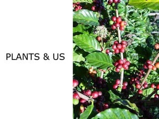 PLANTS & US 