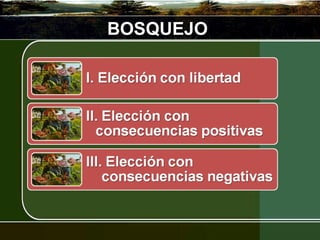 BOSQUEJO 