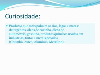 Curiosidade:Produtos que mais poluem os rios, lagos e mares: detergentes, óleos de cozinha, óleos de automóveis, gasolina, produtos químicos usados em indústrias, tintas e metais pesados (Chumbo, Zinco, Alumínio, Mercúrio). 