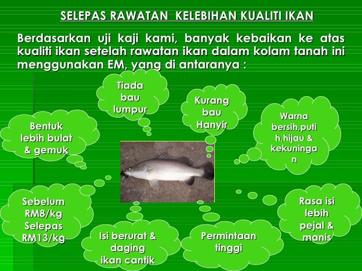 02 P P K Teknologi E M Ternakan Ikan Merin Dalm Kolam