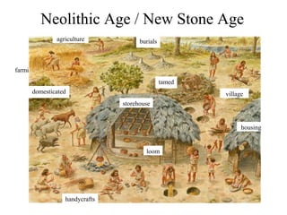 Neolithic Age / New Stone Age
agriculture

burials

farming
tamed
domesticated

village
storehouse

housing

loom

handycrafts

 
