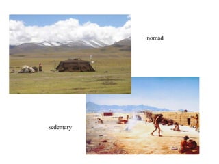 nomad

sedentary

 