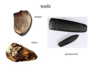 tools
chopper

biface

polished tools

 
