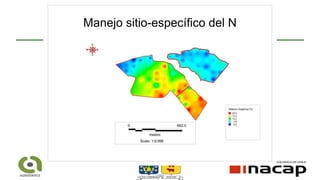 Manejo sitio-específico del N
 