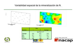 Variabilidad espacial de la mineralización de N.
Statistic 1 2 Average
Average 0.5 0.3 0.5
Min 0.1 -0.1 0.1
Max 1.5 1.2 1.5
CV (%) 68 100 68
Site
kg N ha-1
d-1
Martinez, Ortega, Janssens, 2009
 