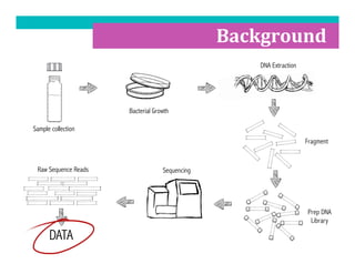 Wgs Process Whole Genome Sequencing (WGS): How significant is it for food safety? | PDF