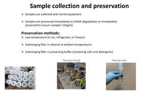 Edna Interested eDNA metabarcoding and metagenomics in discovery of microbial strains ...