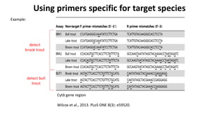 Edna Interested eDNA metabarcoding and metagenomics in discovery of microbial strains ...