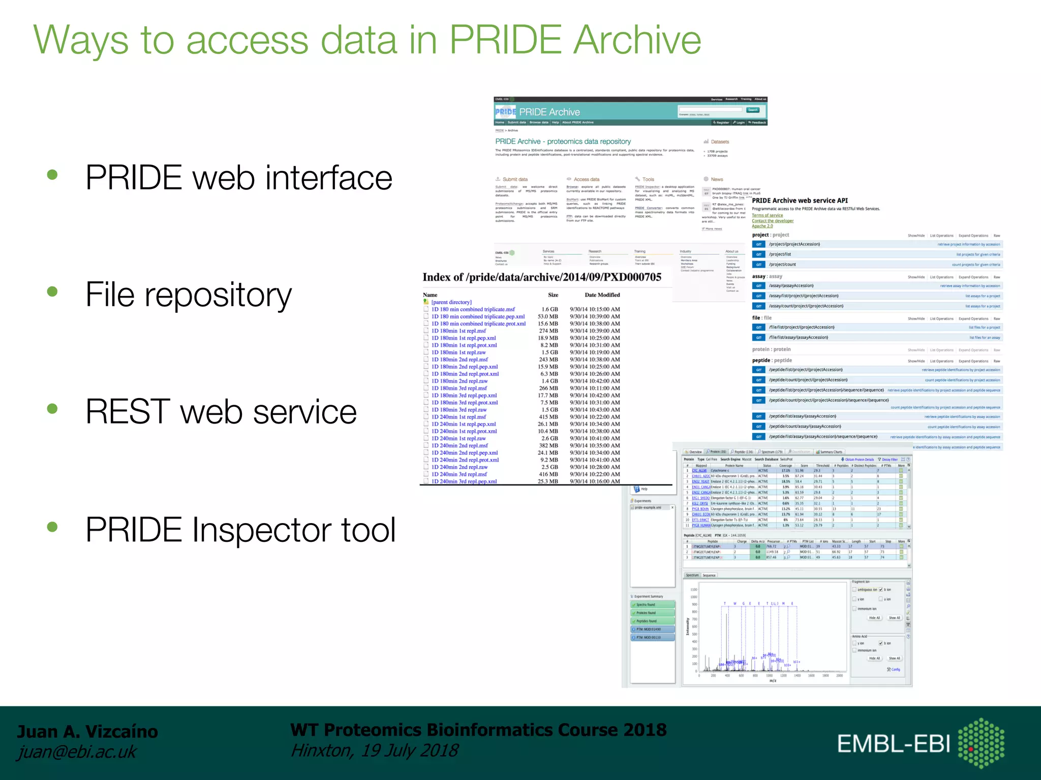 Juan A. Vizcaíno
juan@ebi.ac.uk
WT Proteomics Bioinformatics Course 2018
Hinxton, 19 July 2018
Ways to access data in PRIDE Archive
• PRIDE web interface
• File repository
• REST web service
• PRIDE Inspector tool
 