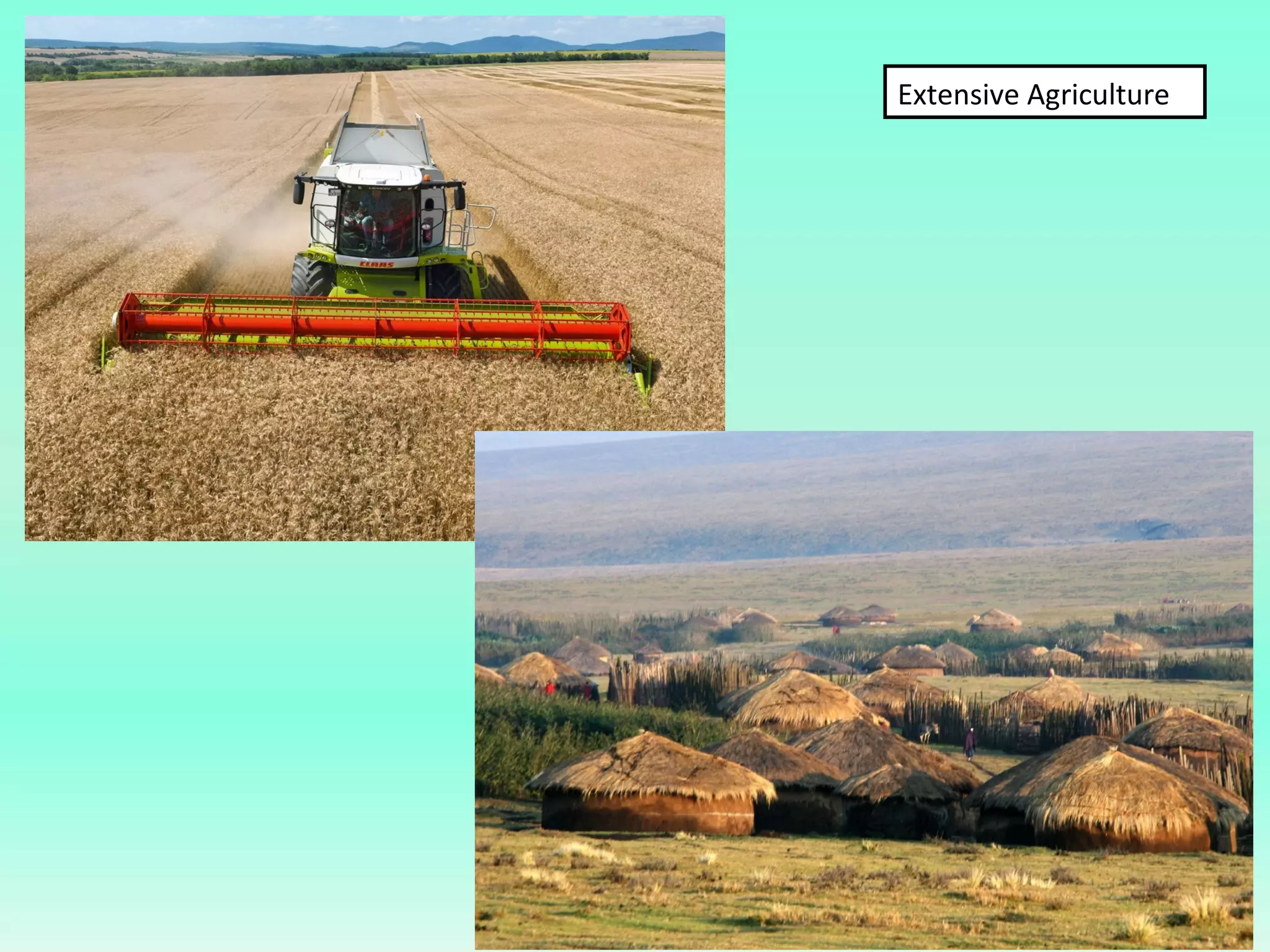 Extensive Agriculture