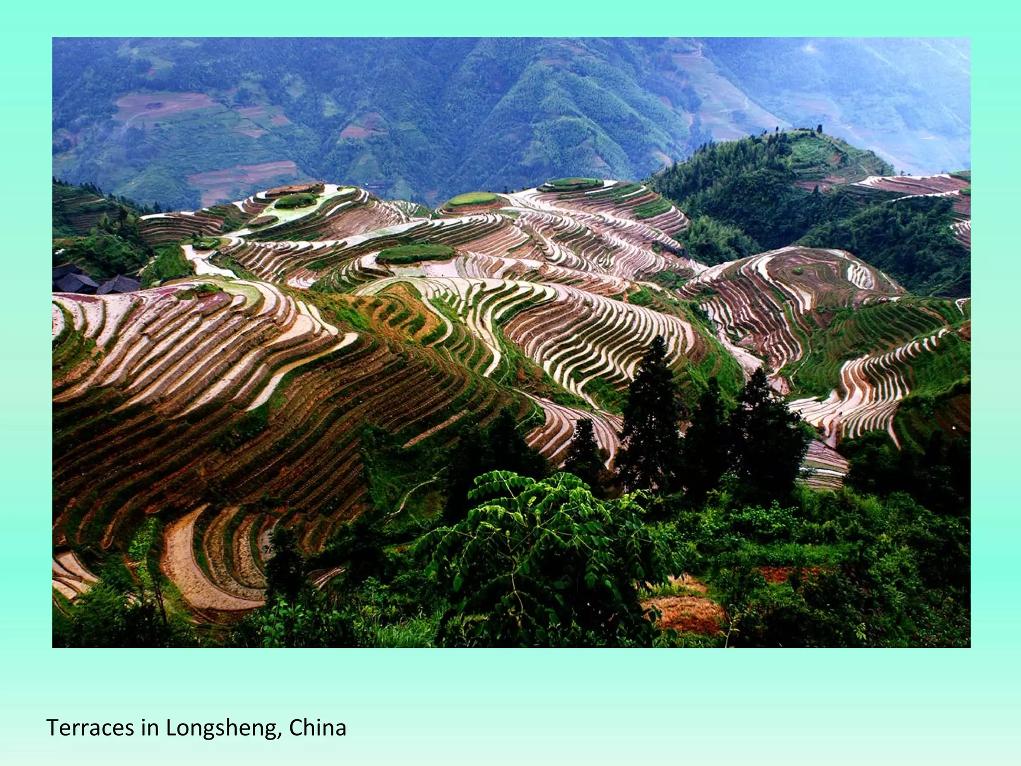 Terraces in Longsheng, China