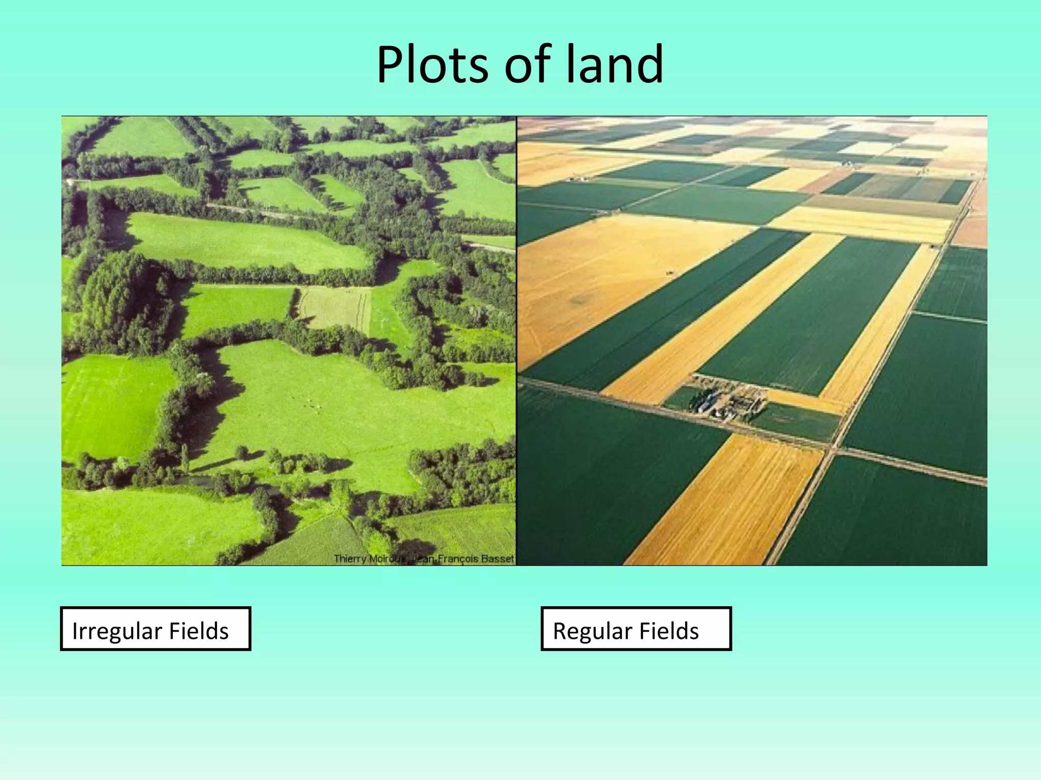 Plots of land
Irregular Fields Regular Fields