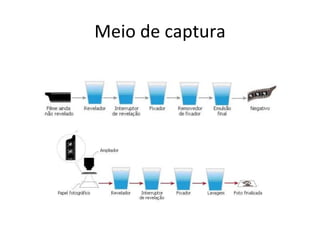 Meio de captura
 
