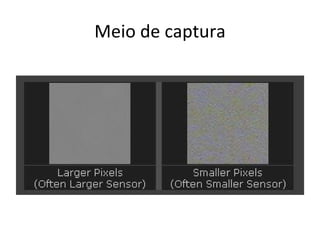 Meio de captura
 