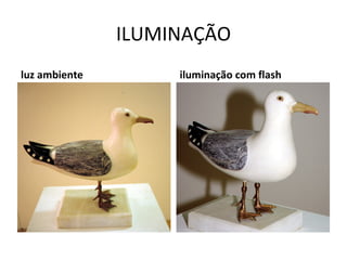 ILUMINAÇÃO
luz ambiente        iluminação com flash
 