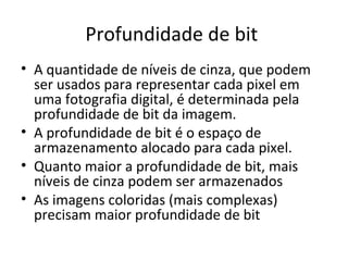 Profundidade de bit
• A quantidade de níveis de cinza, que podem
  ser usados para representar cada pixel em
  uma fotografia digital, é determinada pela
  profundidade de bit da imagem.
• A profundidade de bit é o espaço de
  armazenamento alocado para cada pixel.
• Quanto maior a profundidade de bit, mais
  níveis de cinza podem ser armazenados
• As imagens coloridas (mais complexas)
  precisam maior profundidade de bit
 