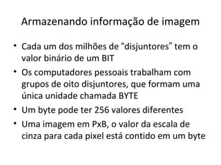 Armazenando informação de imagem

• Cada um dos milhões de “disjuntores” tem o
  valor binário de um BIT
• Os computadores pessoais trabalham com
  grupos de oito disjuntores, que formam uma
  única unidade chamada BYTE
• Um byte pode ter 256 valores diferentes
• Uma imagem em PxB, o valor da escala de
  cinza para cada pixel está contido em um byte
 