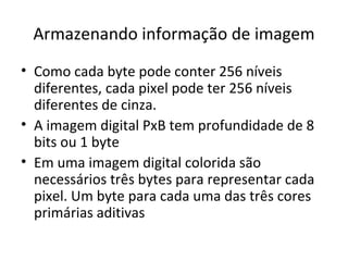 Armazenando informação de imagem
• Como cada byte pode conter 256 níveis
  diferentes, cada pixel pode ter 256 níveis
  diferentes de cinza.
• A imagem digital PxB tem profundidade de 8
  bits ou 1 byte
• Em uma imagem digital colorida são
  necessários três bytes para representar cada
  pixel. Um byte para cada uma das três cores
  primárias aditivas
 