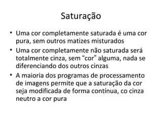 Saturação
• Uma cor completamente saturada é uma cor
  pura, sem outros matizes misturados
• Uma cor completamente não saturada será
  totalmente cinza, sem “cor” alguma, nada se
  diferenciando dos outros cinzas
• A maioria dos programas de processamento
  de imagens permite que a saturação da cor
  seja modificada de forma contínua, co cinza
  neutro a cor pura
 