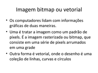 Imagem bitmap ou vetorial
• Os computadores lidam com informações
  gráficas de duas maneiras.
• Uma é tratar a imagem como um padrão de
  pixels. É a imagem rasterizada ou bitmap, que
  consiste em uma série de pixels arrumados
  em uma grade
• Outra forma é vetorial, onde o desenho é uma
  coleção de linhas, curvas e círculos
 