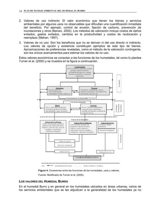 PLAN DE MANEJO AMBIENTAL DEL HUMEDAL EL BURRO18
2. Valores de uso indirecto: El valor económico que tienen los bienes y servicios
ambientales por algunos usos no observables que dificultan una cuantificación inmediata
del beneficio. Por ejemplo, control de erosión, fijación de carbono, prevención de
inundaciones y otros (Barzev, 2002). Los métodos de valoración incluye costos de daños
evitados, gastos evitados, cambios en la productividad y costos de reubicación y
reemplazo (Mahan, 1997).
3. Valores de no uso: Son los beneficios que no se derivan ni del uso directo ni indirecto.
Los valores de opción y existencia constituyen ejemplos de este tipo de bienes.
Aproximaciones de preferencias reveladas, como el método de la valoración contingente,
son los únicos acercamientos para estimar los valores de no uso.
Estos valores económicos se conectan a las funciones de los humedales, tal como lo plantea
Turner et al. (2000) y se muestra en la figura a continuación.
Figura 4. Conexiones entre las funciones de los humedales, usos y valores.
Fuente: Modificado de Turner et al. (2000).
LOS VALORES DEL HUMEDAL BURRO
En el humedal Burro y en general en los humedales ubicados en áreas urbanas, varios de
los servicios ambientales que se les adjudican a la generalidad de los humedales ya no
 