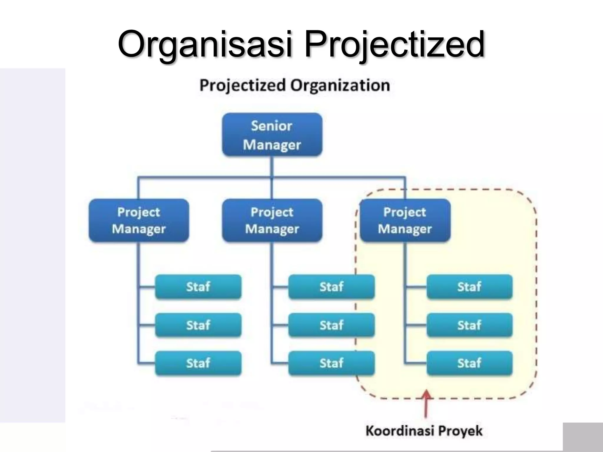 02 project management organization | PPTX