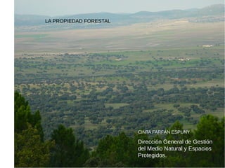 LA PROPIEDAD FORESTAL
CINTA FARFÁN ESPUNY
Dirección General de Gestión
del Medio Natural y Espacios
Protegidos.
 