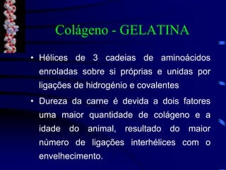 Colágeno - GELATINA
• Hélices de 3 cadeias de aminoácidos
enroladas sobre si próprias e unidas por
ligações de hidrogénio e covalentes
• Dureza da carne é devida a dois fatores
uma maior quantidade de colágeno e a
idade do animal, resultado do maior
número de ligações interhélices com o
envelhecimento.
 